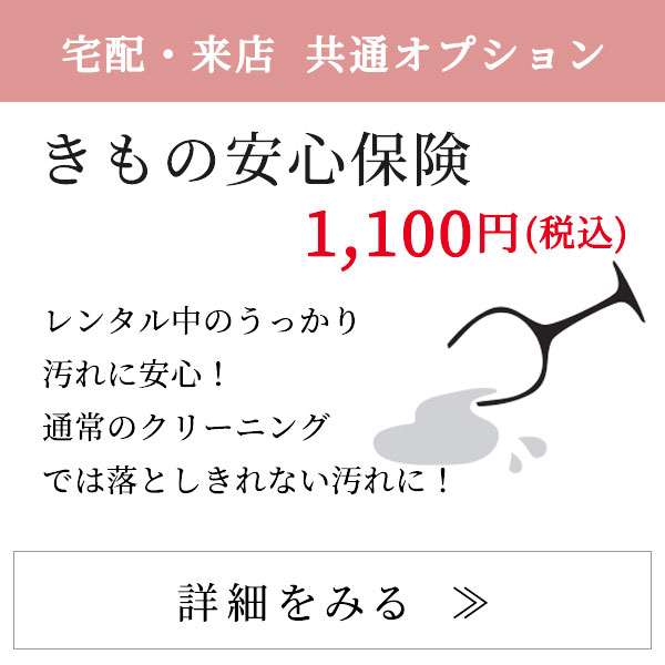 オプション　安心保険