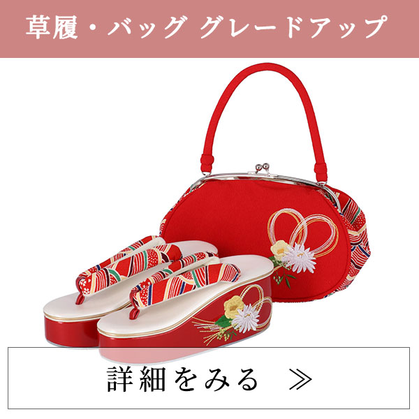 オプション　グレードアップバッグ